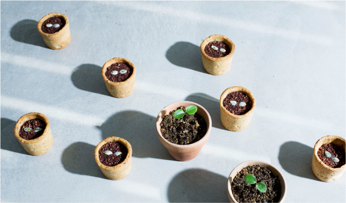 思わず見惚れる美しさ。≪チネカ≫のお菓子がとっても可愛い**にて紹介している画像