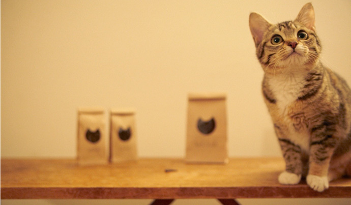 思わず見惚れる美しさ。≪チネカ≫のお菓子がとっても可愛い**にて紹介している画像