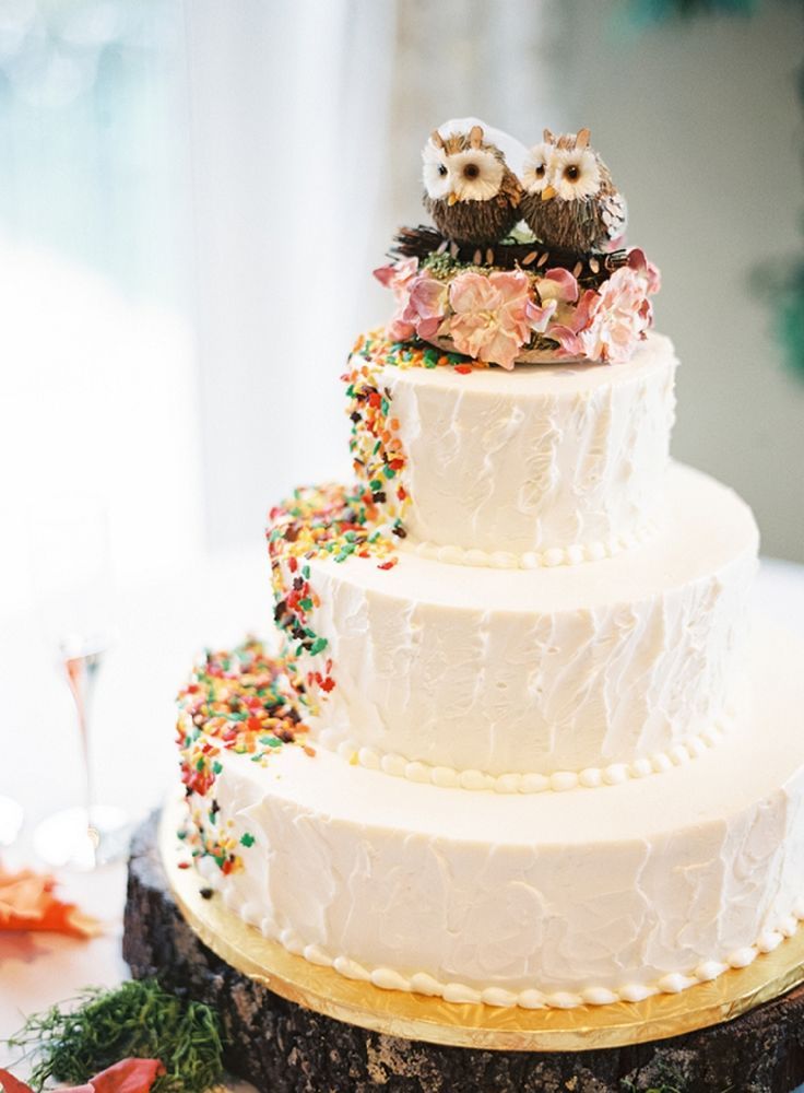 "Let's Create a Rainbow on Cake with Colorful Rainbow-Colored Chocolate Sprinkles♡"にて紹介している画像