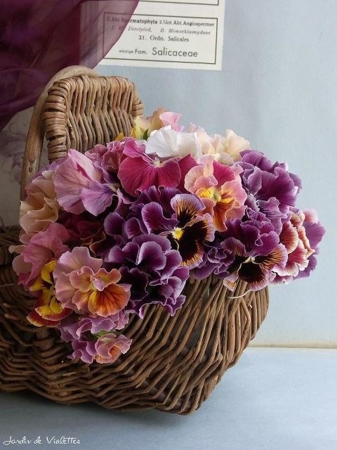 Extra Cute Wedding Ideas Inspired by the Movie Hayflower and Quilt Shoe ♡にて紹介している画像