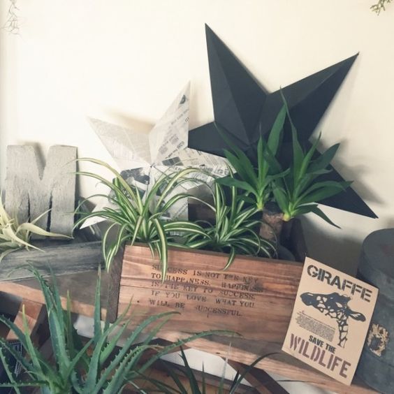 用折纸和画纸制作的小星星♡可爱利用《Timberland Star》的10种方法☆にて紹介している画像